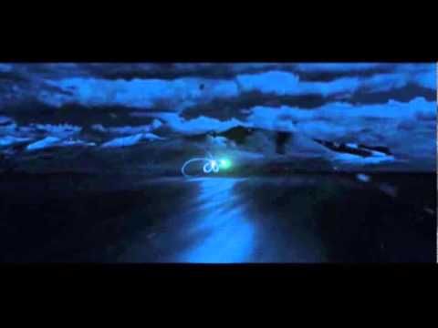 I SENTIERI DI BACCO TV