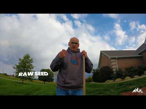 Patch Problem Areas In Your Yard
