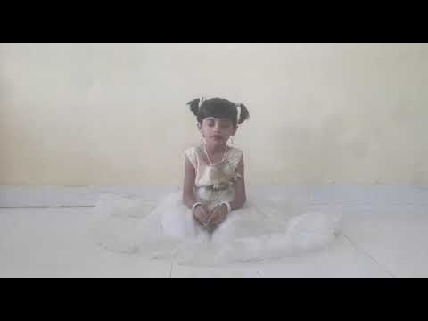 मनी कशी गोजिरवाणी पहा 🐈