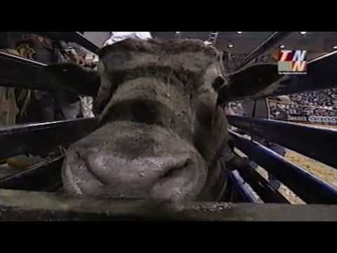 Locomotive Breath bucks Chris Shivers - 01 PBR Columbus, GA