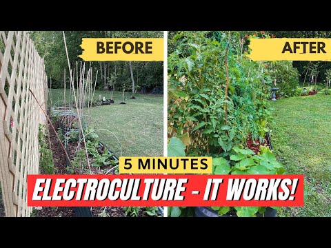 Electroculture Gardening - Amazing Results!