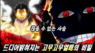 드디어 밝혀지는 루피 고무고무 열매의 비밀 [원피스]