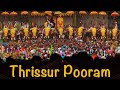 Thrissur Pooram whatsapp status|Thrissur Pooram 2024 Status|Festival of Kerala|Vadakkunathan temple