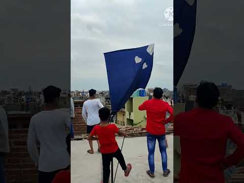 12feet x 15feet biggest kite