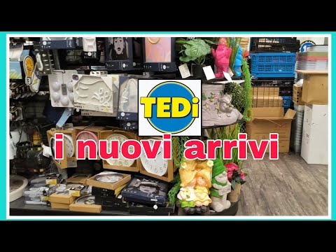 Tedi: i nuovi arrivi 😍 primavera 2026 ✨