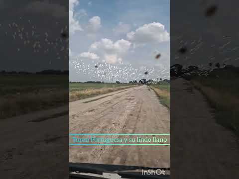 TUREN, quien mas ama la naturaleza?
