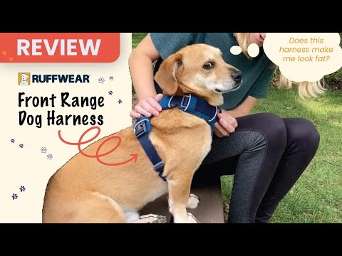 Ruffwear Front Range Dog Harness Review