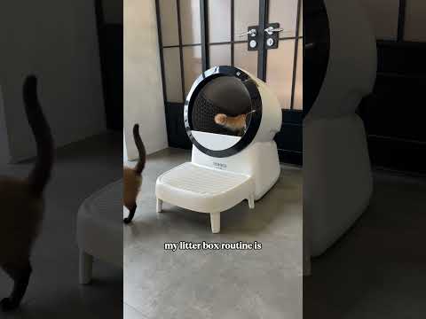 A self-cleaning litter box #catlink #automaticlitterbox #litterbox #cat