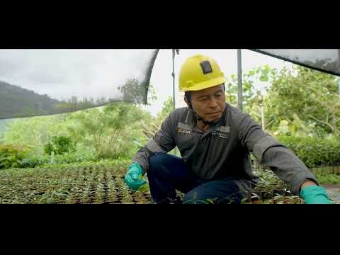 Así es un día en el área Ambiental de la Mina Buriticá... Somos responsables por naturaleza