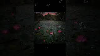 Download lagu Aayiram thamarai mottukale BGM #ilayaraja #trending mp3 Download lagu Aayiram thamarai mottukale BGM #ilayaraja #trending mp3