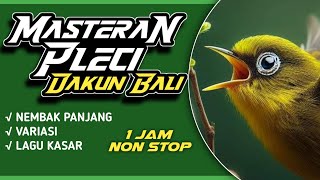 Download lagu MASTERAN PLECI DAKBAL PALING TOP // NEMBAK KASAR - NEMBAK PANJANG MUKIDI ENDOK TATTO  #masteranpleci mp3 Download lagu MASTERAN PLECI DAKBAL PALING TOP // NEMBAK KASAR - NEMBAK PANJANG MUKIDI ENDOK TATTO  #masteranpleci mp3