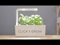 Click and Grow Pot à herbes aromatiques Smart Garden 9 gris foncé