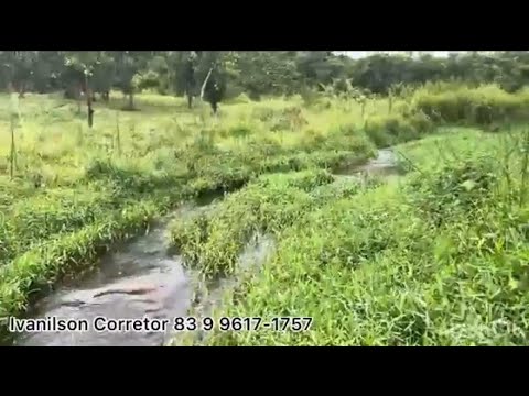 SÍTIO Á VENDA 6 HECTARES ESCRITURA PÚBLICA ESPERANÇA PARAÍBA ZAP 83 9 9617-1757 IVANILSON CORRETOR 