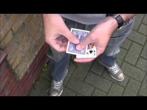 wild surprise blue by ron timmer trick