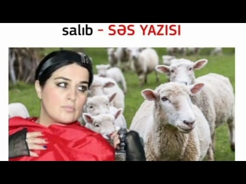 ELZA SEYİDCAHAN QOYUN QIĞINDAN PALTAR TİKDİRMƏK İSTƏYİR.....SƏS YAZISI...