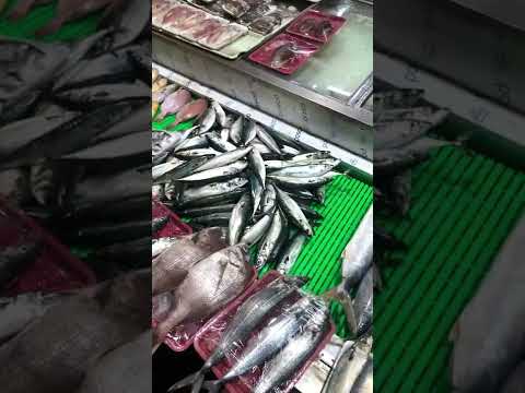 Fish Market in Korea