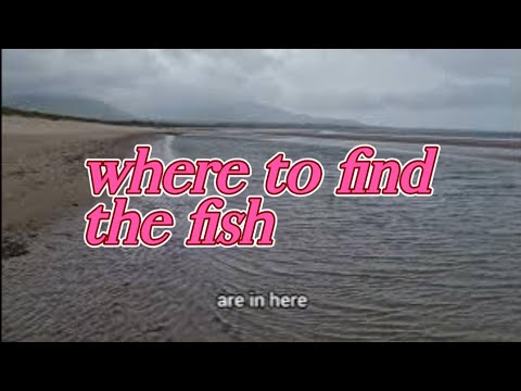 Beach fishing. How to find the Gully and where to fish. Watercraft