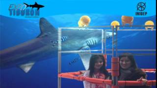 DIA 2 Expo Tiburon182