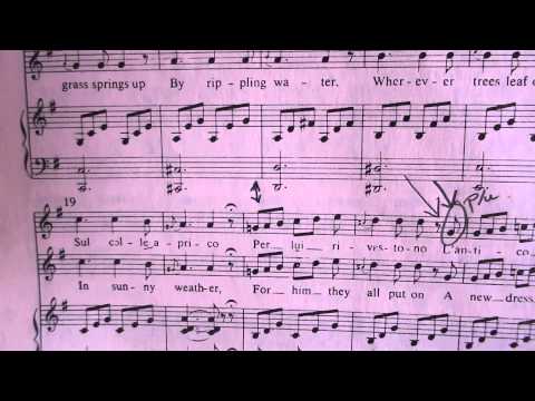 Vaccai Italian Vocal Method    Diction Lesson 11 Senza l'amabile