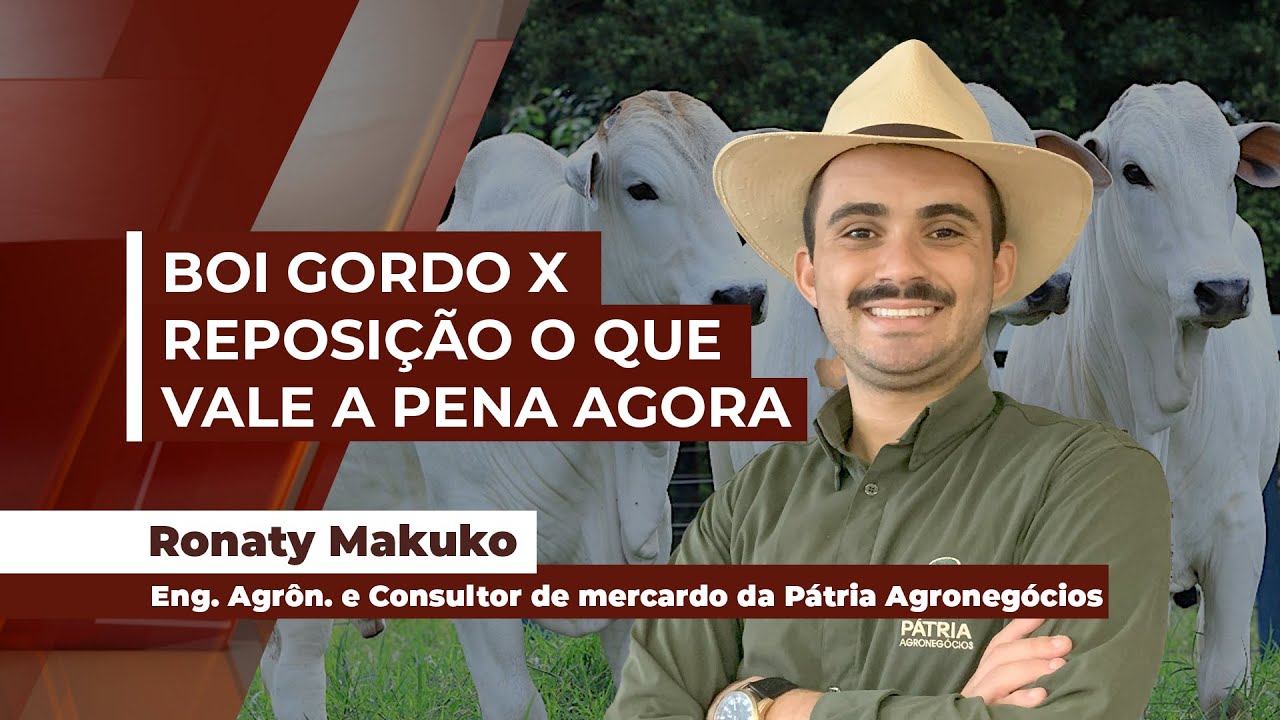 Bezerro inicia trajetória de alta, mas ainda com bom momento para compra; já o boi magro ...