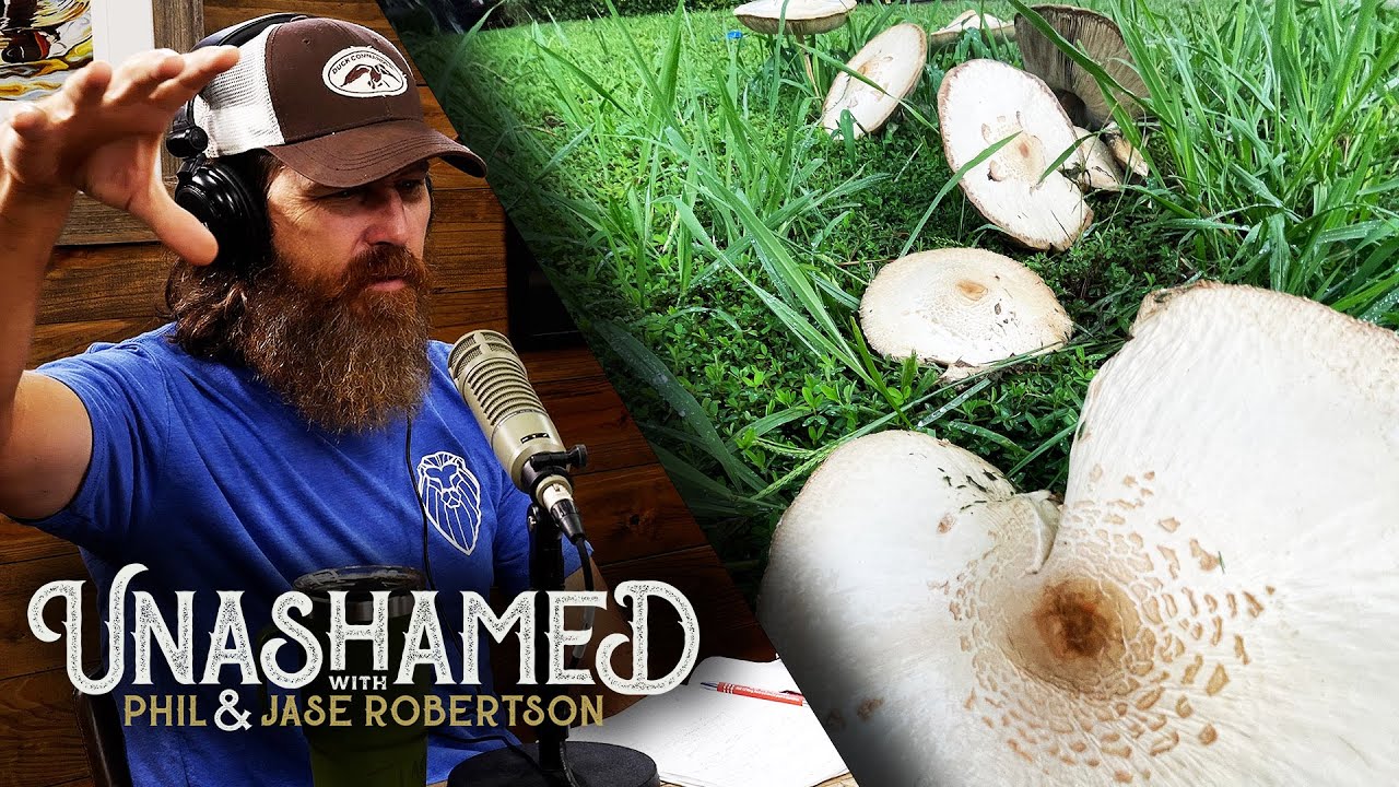Ep 537 | Jase Finds Louisiana Mushrooms & Phil Measures Endurance Against Belief