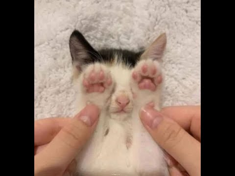 Solo Acquisition No Sprint No Eager