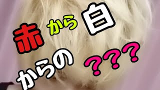 『マニパニ』ブリーチしまくってグラデーションのある紫？ピンク？に染めてみた『プラムパッション』