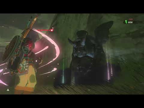 How to duplicate hearts and stamina in breath of the wild
