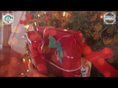 Ríos de Alegría: Llevando juguetes y sonrisas a la Amazonía en Navidad 🎁