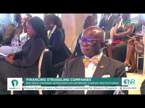 Bank of Ghana Governor Warns Against Rescuing Unviable Distressed Companies