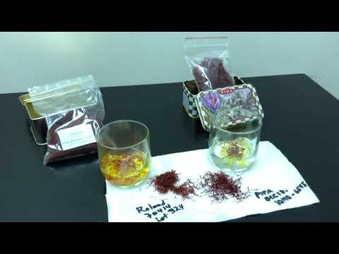 Water Test for Saffron Purity 4/29/19