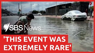 Dubai hit with record rain and historic floods | SBS News