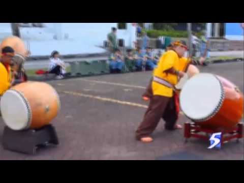 NDP 2014 TVC - MINDS (Channel 5)