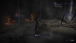 垂れ流しはいしん→[ELDEN RING NIGHTREIGN][PS5][参加可]