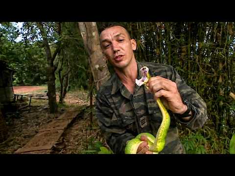 Foreign Legion: The extreme test of the Jaguar training course