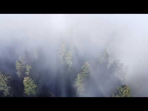 Părinte Sfânt 'naintea Ta acum venim - Surori Voitinel (video 4K)