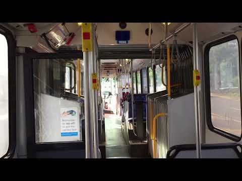 STA Sydney m/o 1696 - Volvo B12BLEA (ZF)