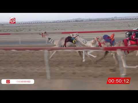 ش 5 (الشاهينيه) لـ فهم بن حمد السليطي 2:13 ، شارة صندوق حلفه 2026/05/31 فطامين سويحان