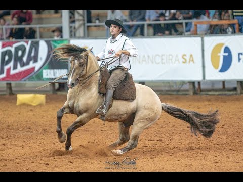 LOTE 01 - ITAPORORÓ DO LISCANO