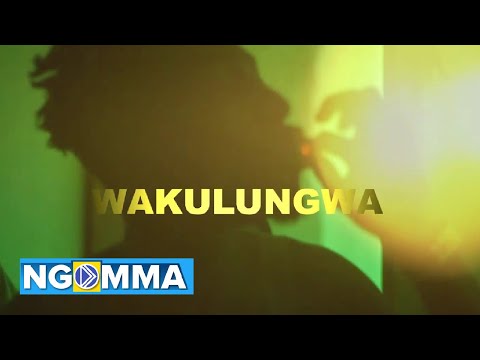 Tony cousin X Wabale Ft Orbit -NJIANI (official video)