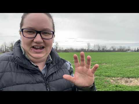 How does crop planning work?