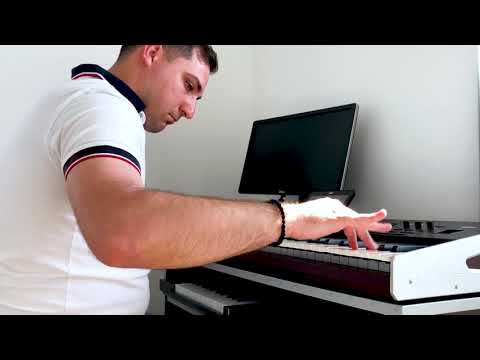 Vasi Ignat - Horă lăutărească (La Major) - Cover Orchestra Luminii - live - 2023