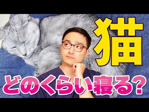 猫が寝るときに震えるのはなぜですか?