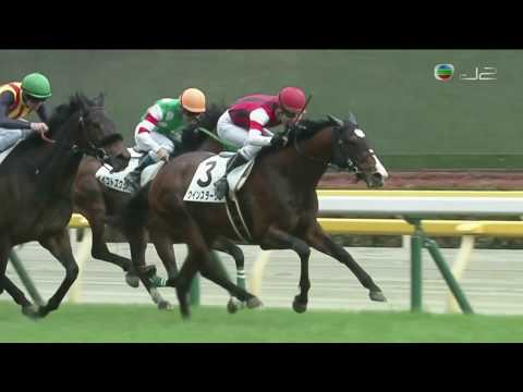 2019 Japan 4YO & Up Allowance - Win Slava (勝出光榮) - K.Matsuyama (52倍)