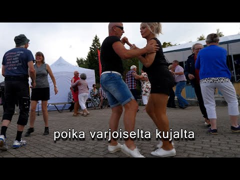 Poika varjoiselta kujalta - Matti Laitiainen & Erkki Viljakainen