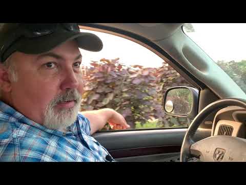 Blankenship Farms and Nursery 2020 Field Tour