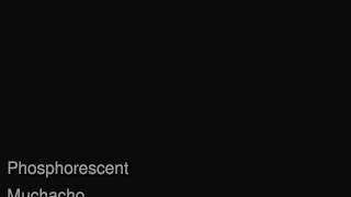 Phosphorescent - Muchacho Tune