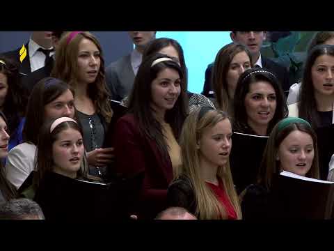 Cor Carpati | 24.12.2012