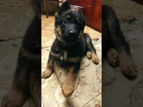 25 жовтня 2025 р.