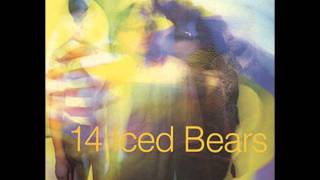 14 Iced Bears - Florence